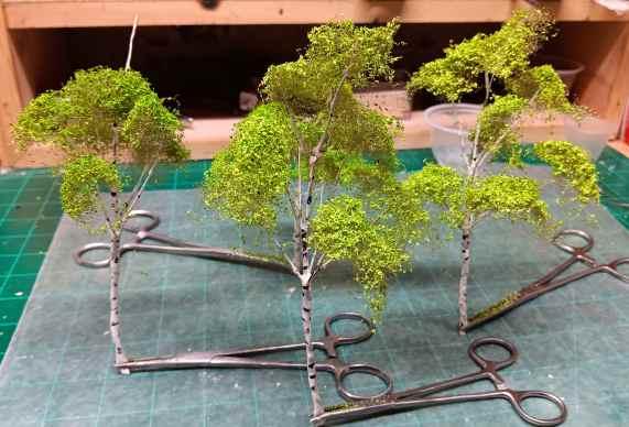birch6.jpg