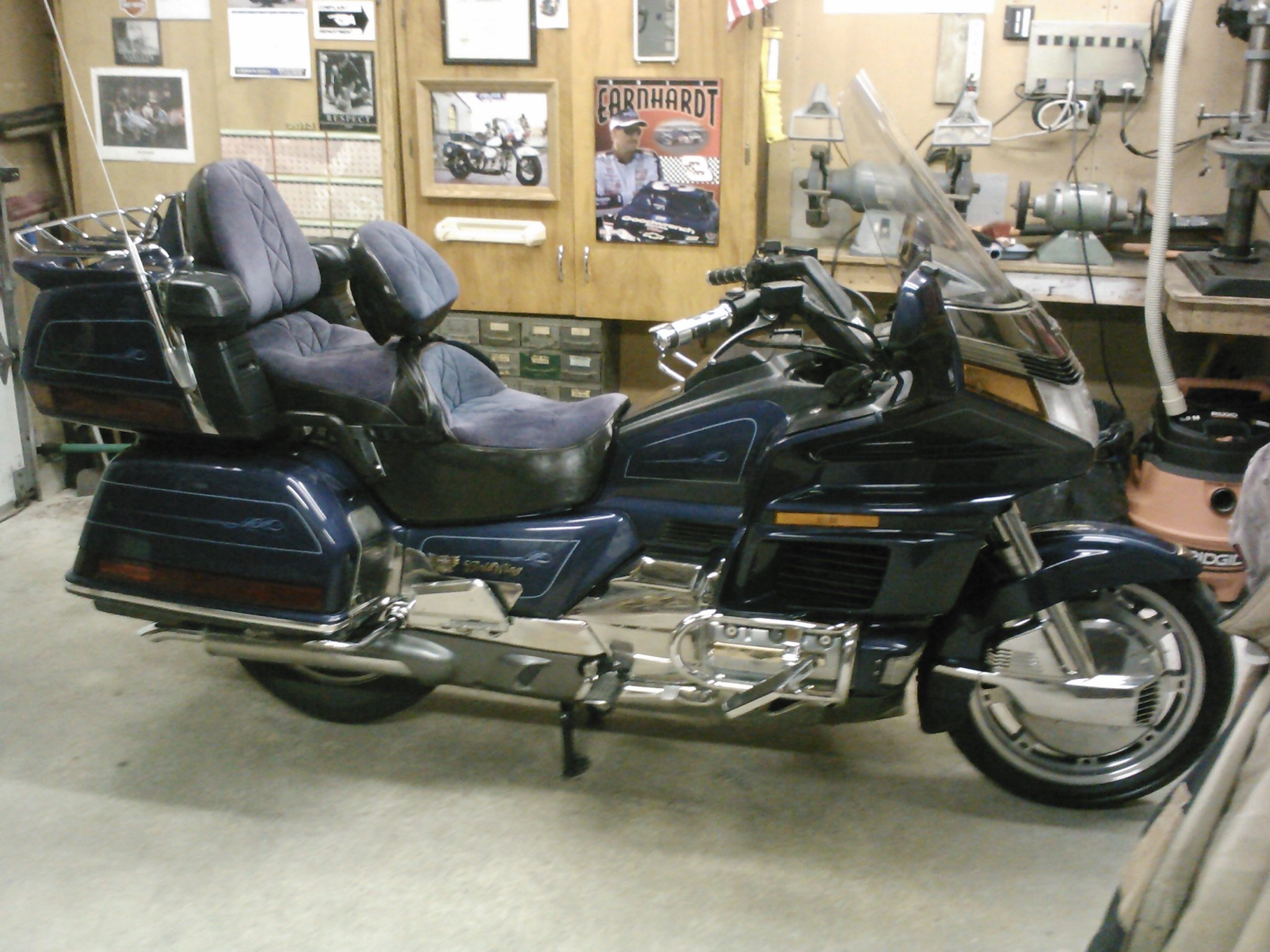 Blue Wing 009.jpg