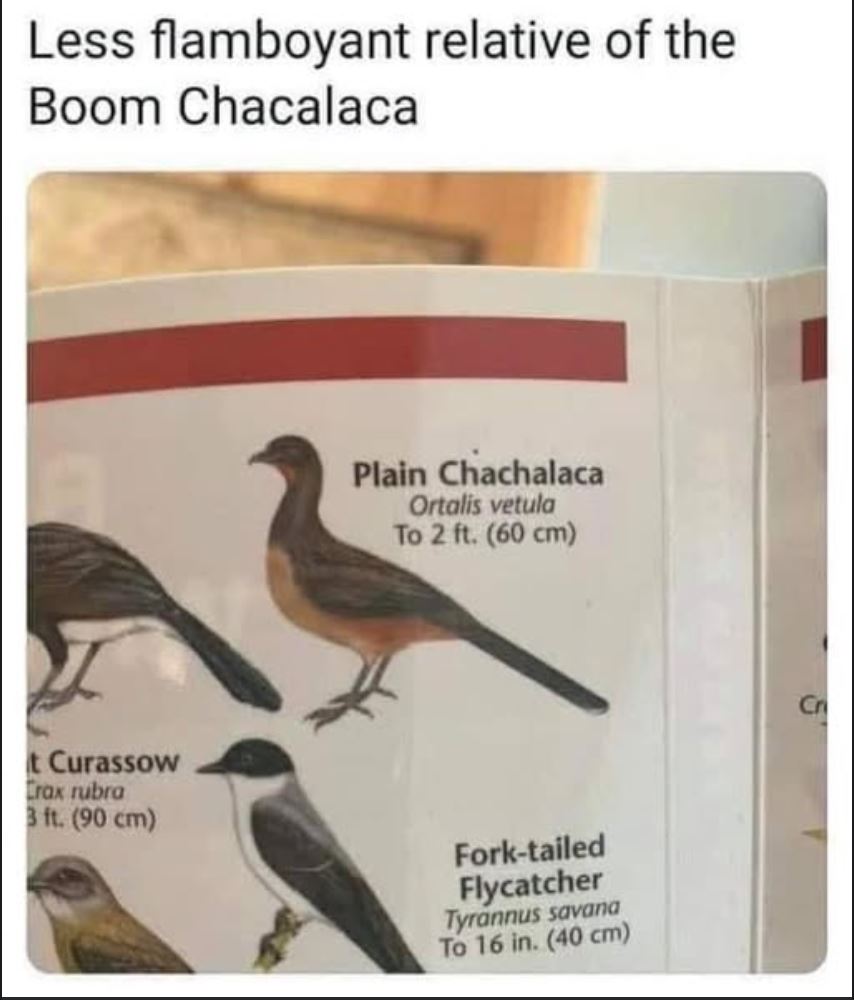 boom chacalaca.JPG