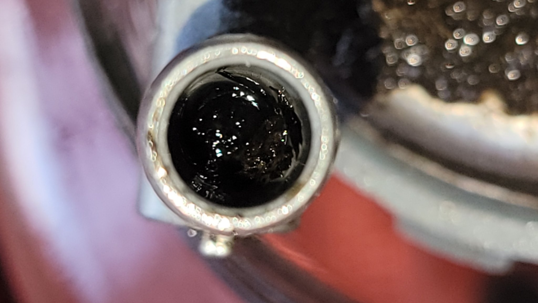 bug parts at fuel inlet on water seperator.jpg