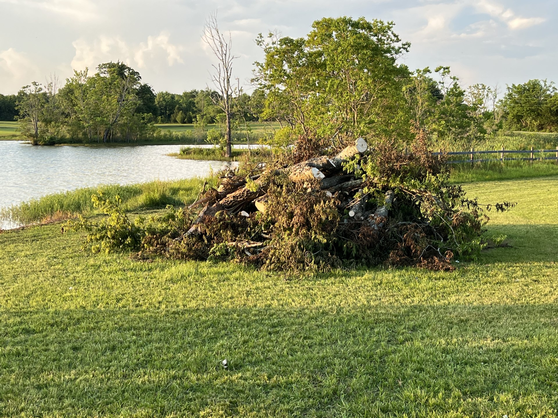 burnpile.jpg
