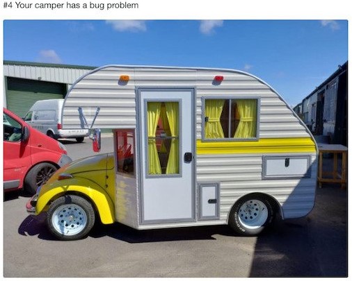 camper bug.jpg