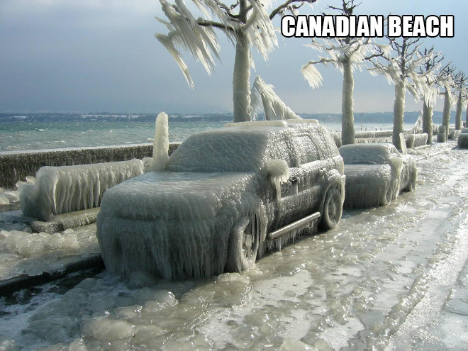 canadians2.jpg