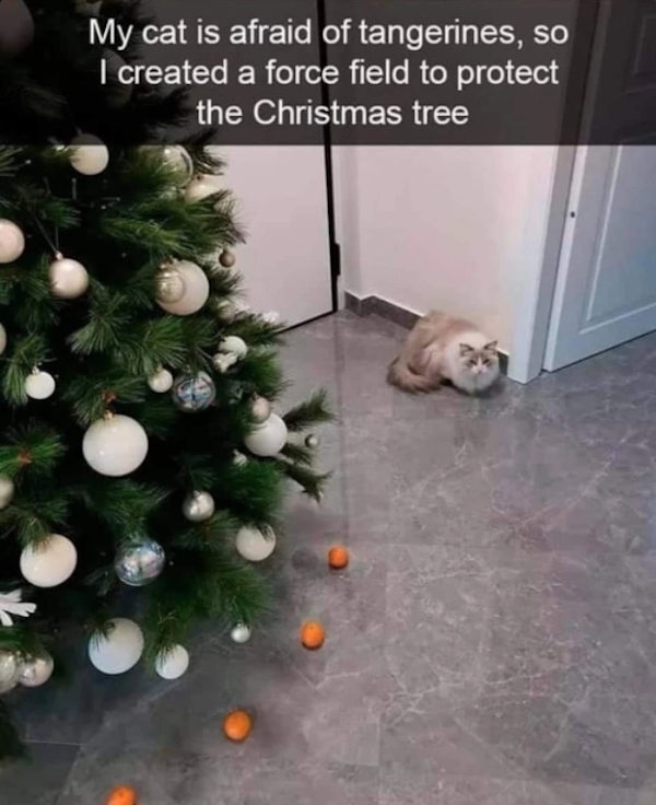 cat repellant.png