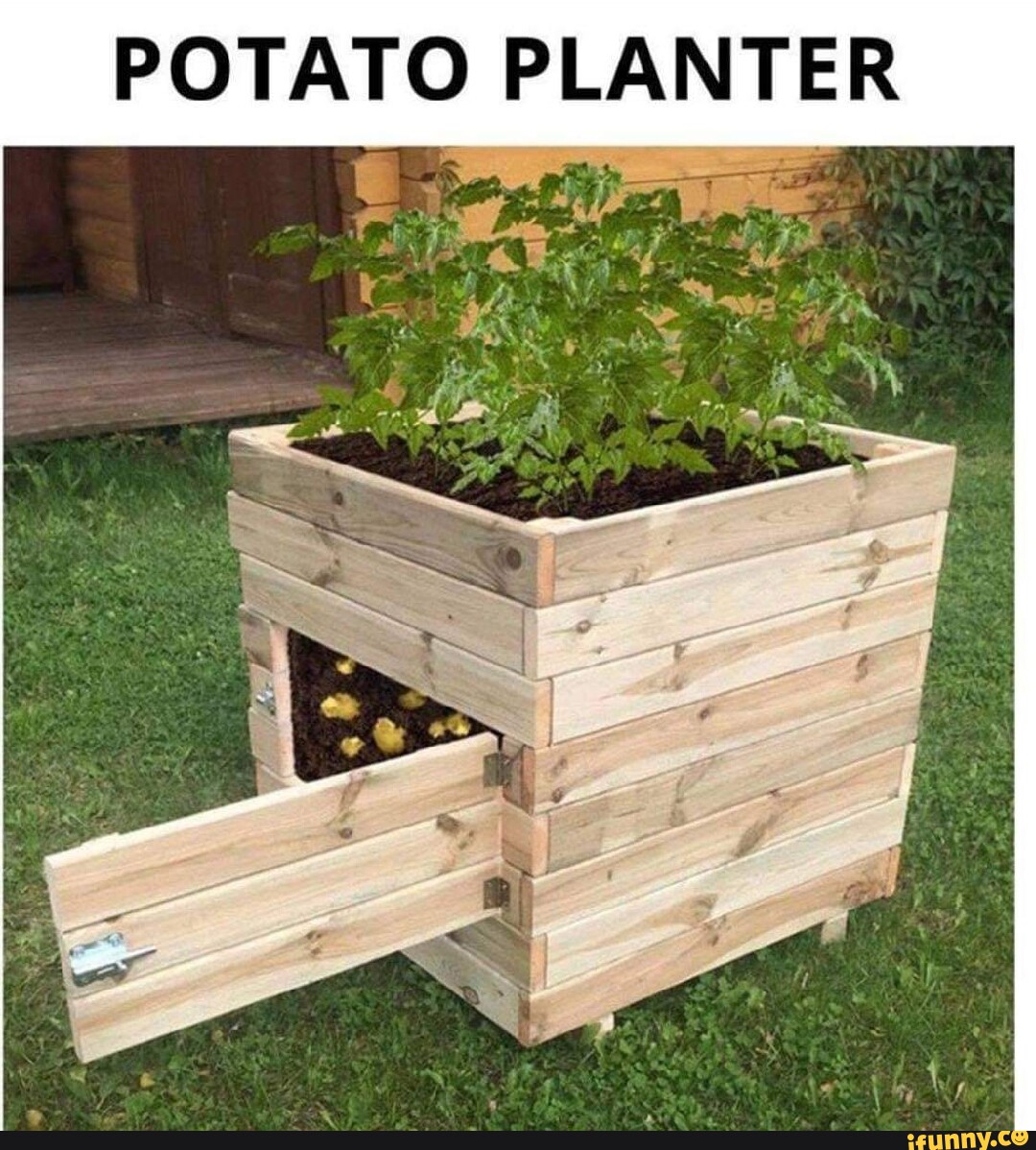ce9b592755fdca76da54c22149b71a86ac9fe5a860331d5ff82bb7b09d56dbec_1.jpg.jpg