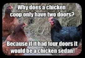 chicken coop.jpg