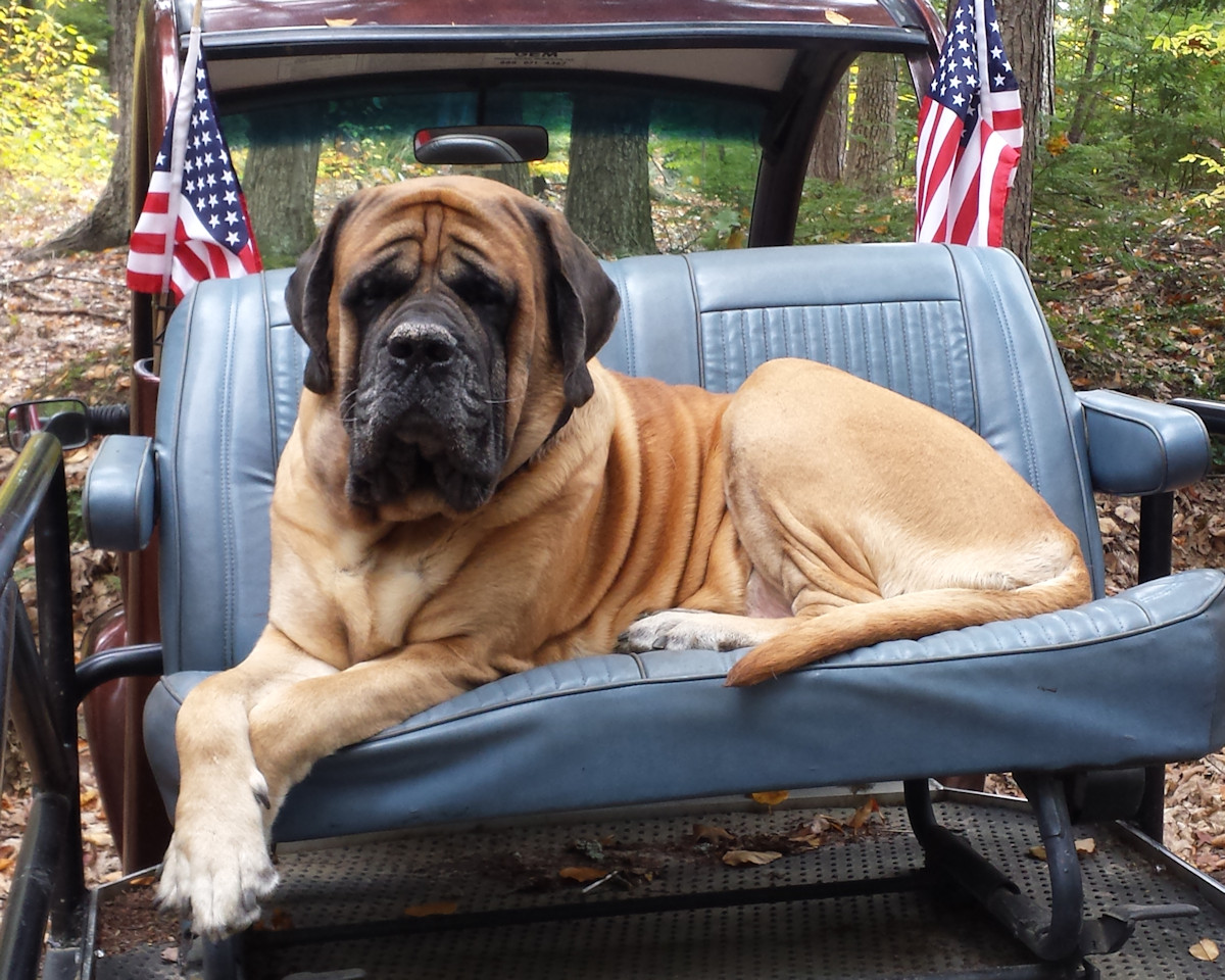 clifford-3.jpg
