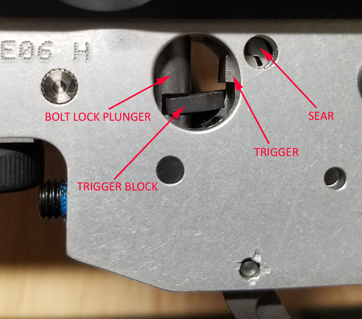 cocked_safety_off_labels.jpg