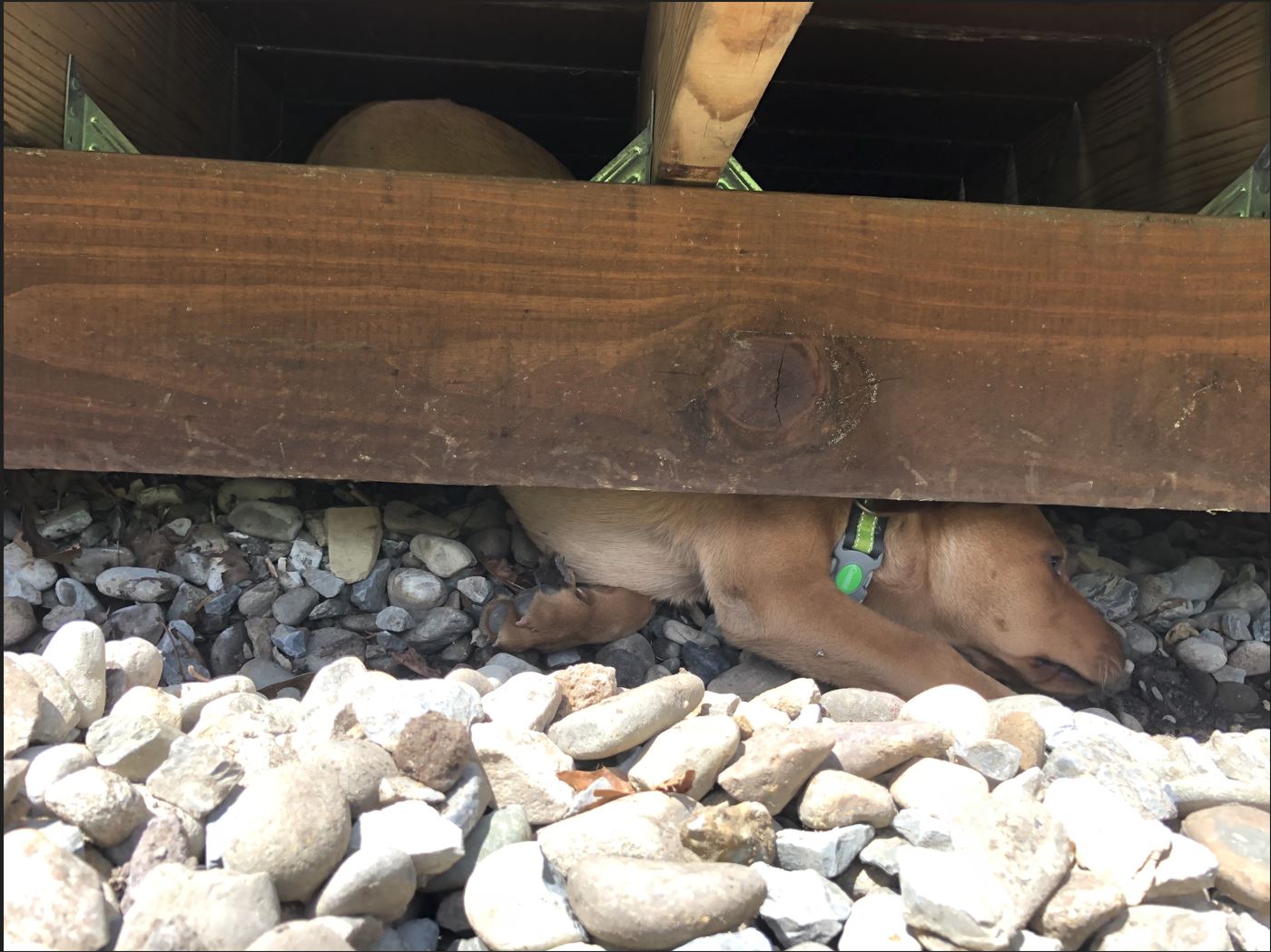 Cody tunnel rat2.JPG