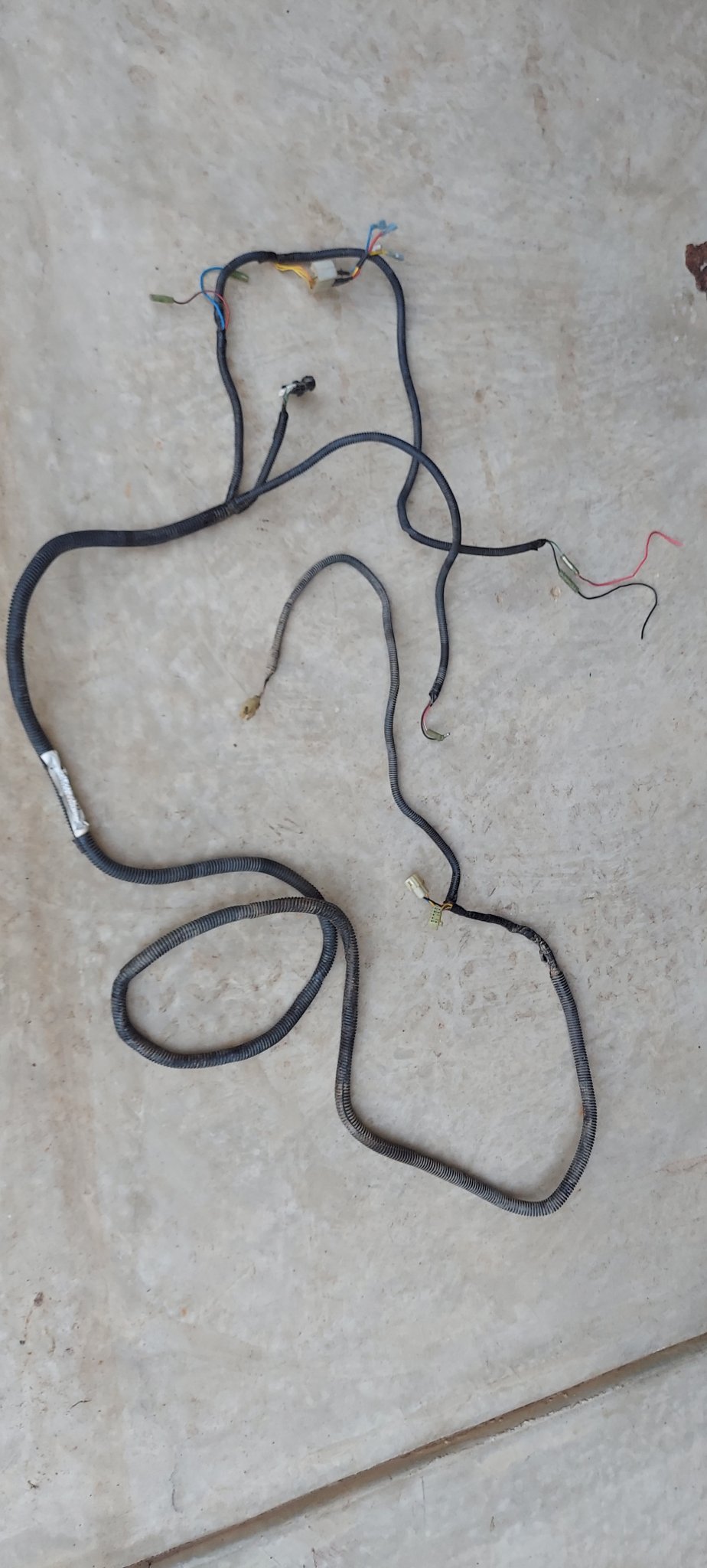 Complete Wire Harness.jpg