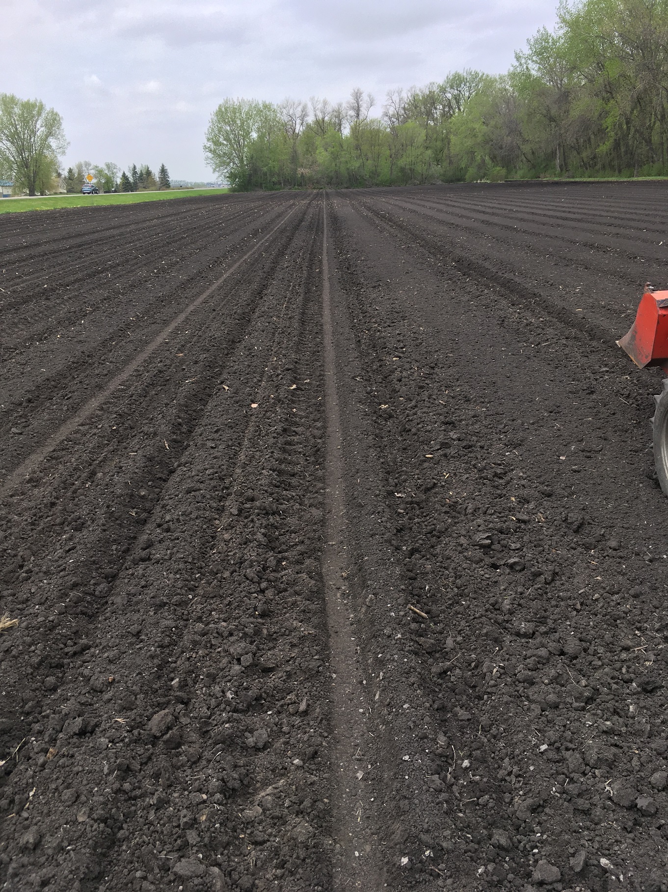 Corn Planting.jpg