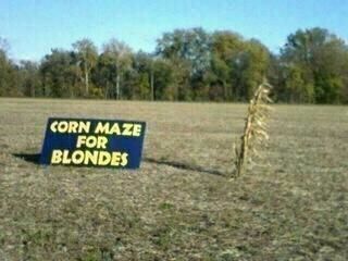 Corn_maze.jpg