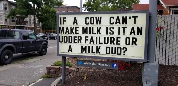 cow milk.jpg