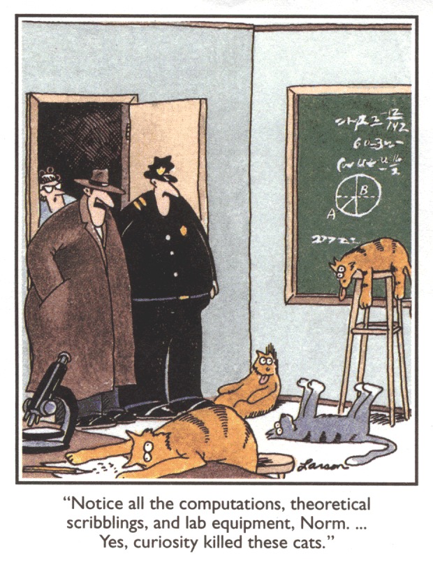 curiosity.jpg