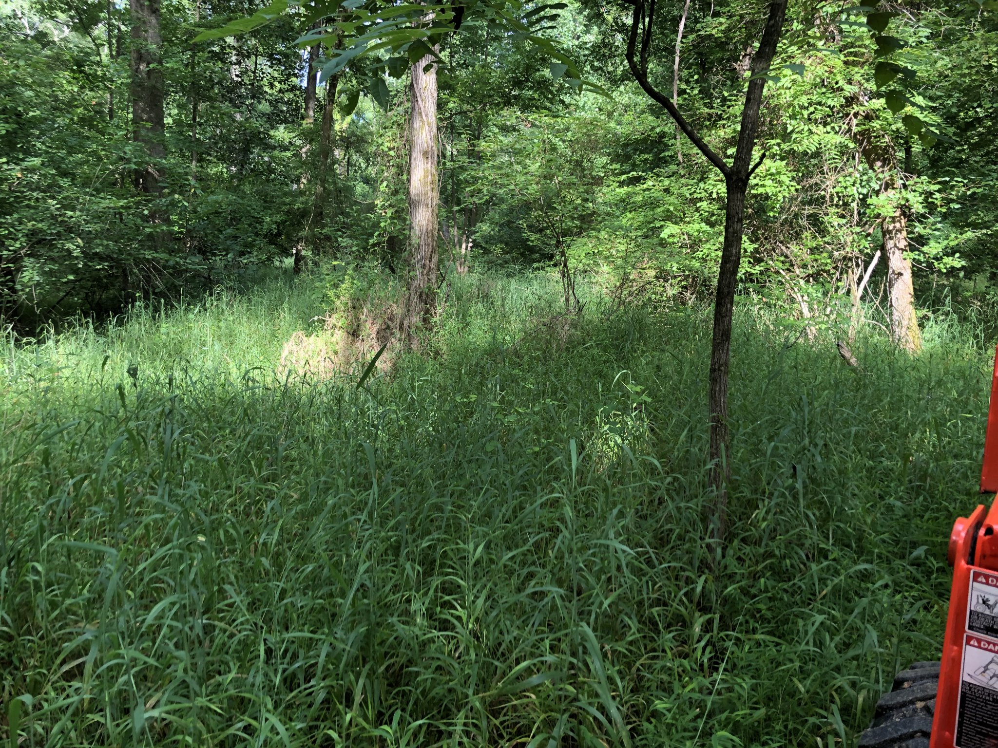 D98D0585-467D-4D1A-B0EF-FBD2642DB681.jpeg