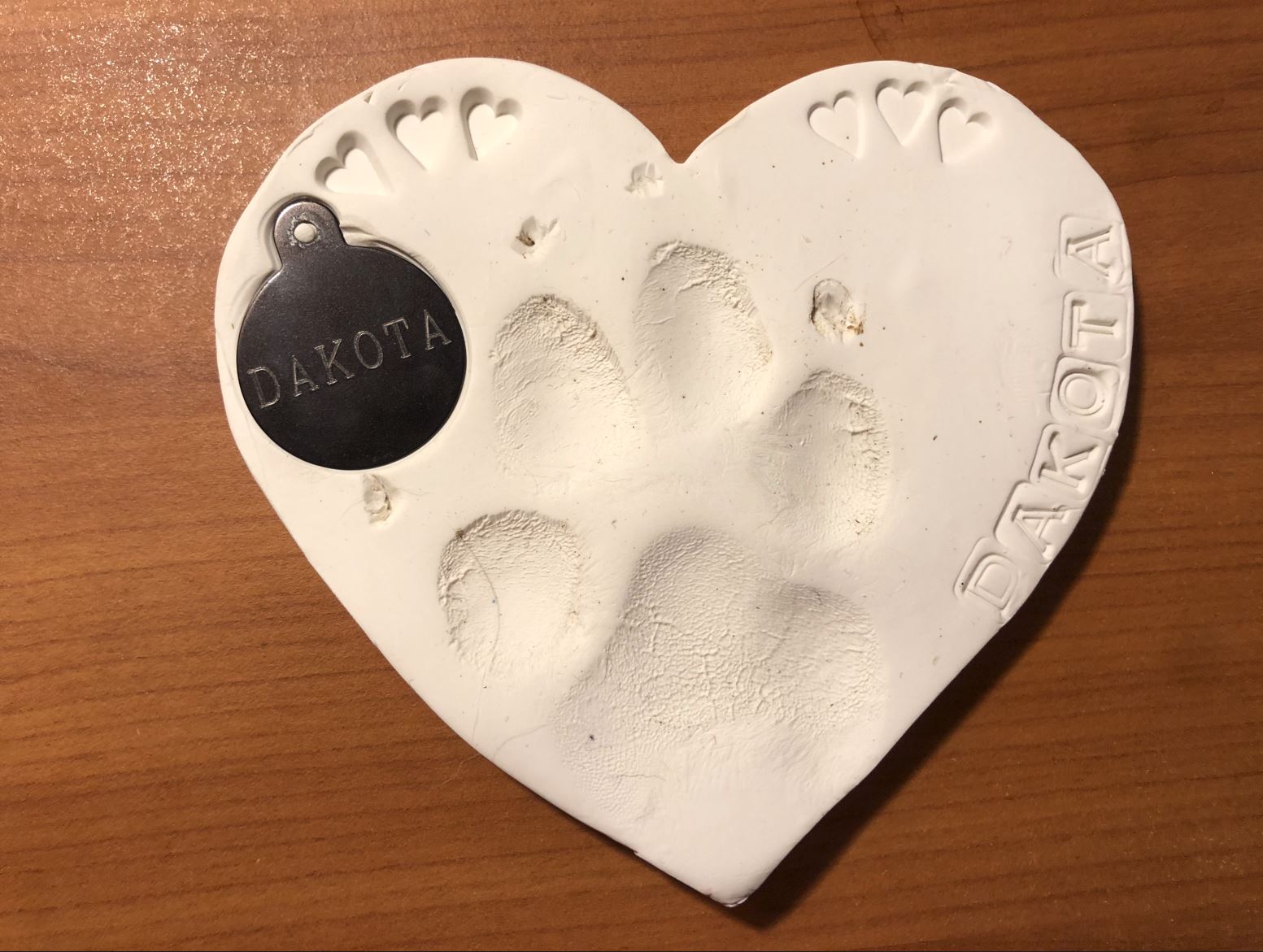Dakota Paw print.JPG