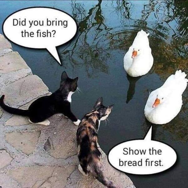 dealers.jpg