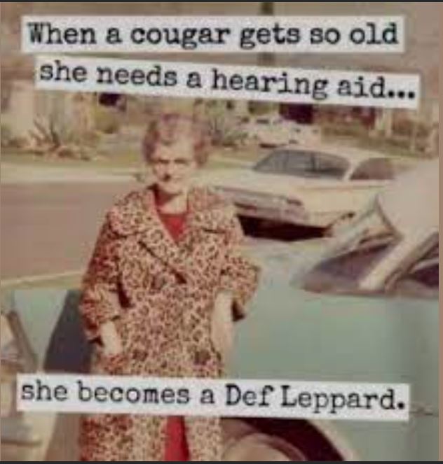 def leppard.JPG