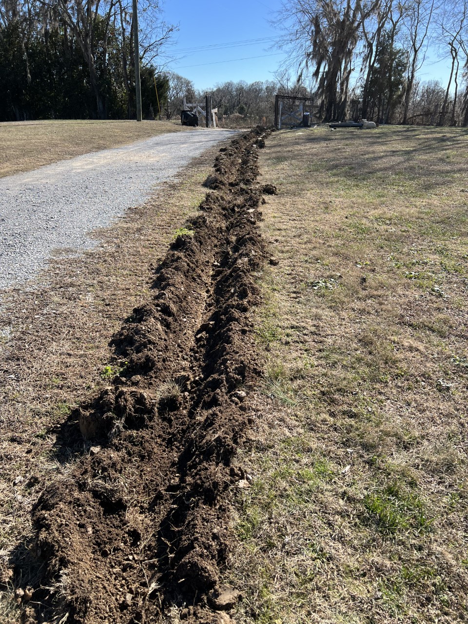 dig1.jpg