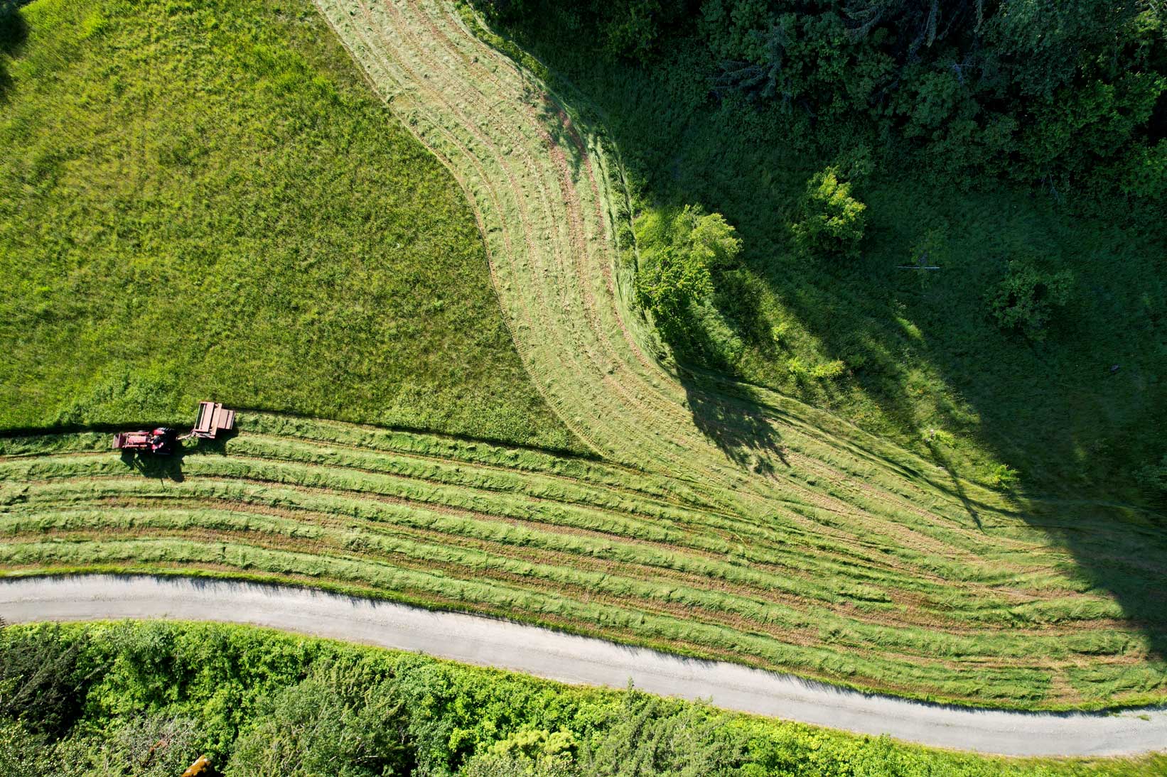 dji-drone-june-009.jpg