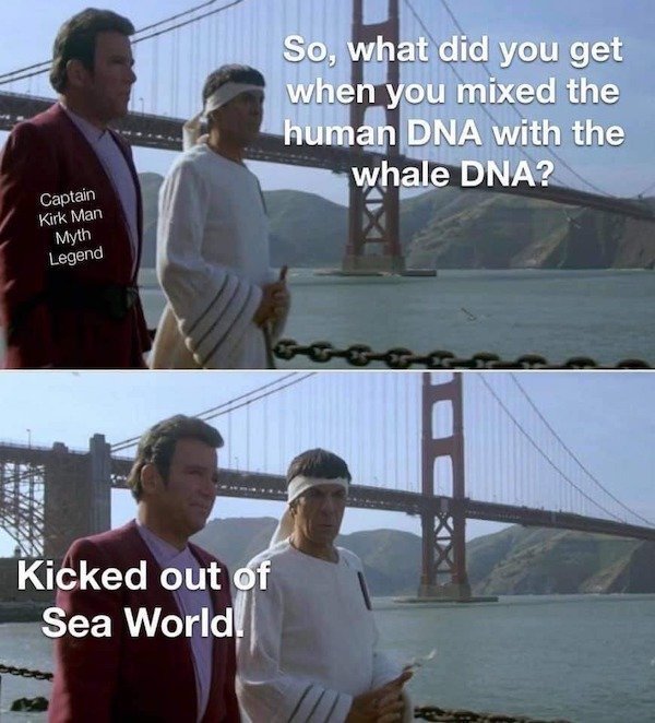 dna.jpeg