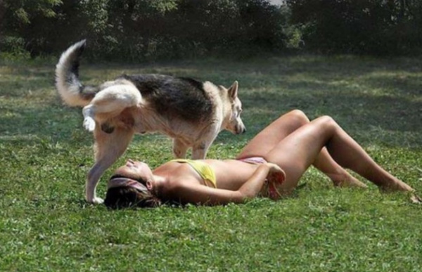 dog picture.jpg