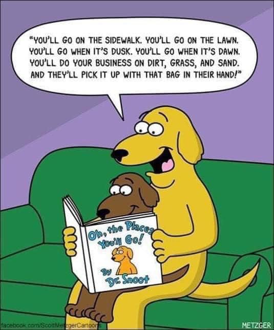 dog poo.jpg