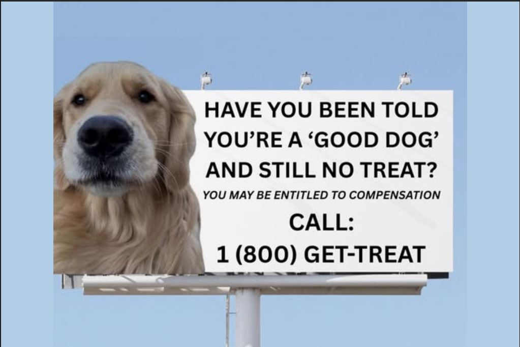 dog treat.JPG