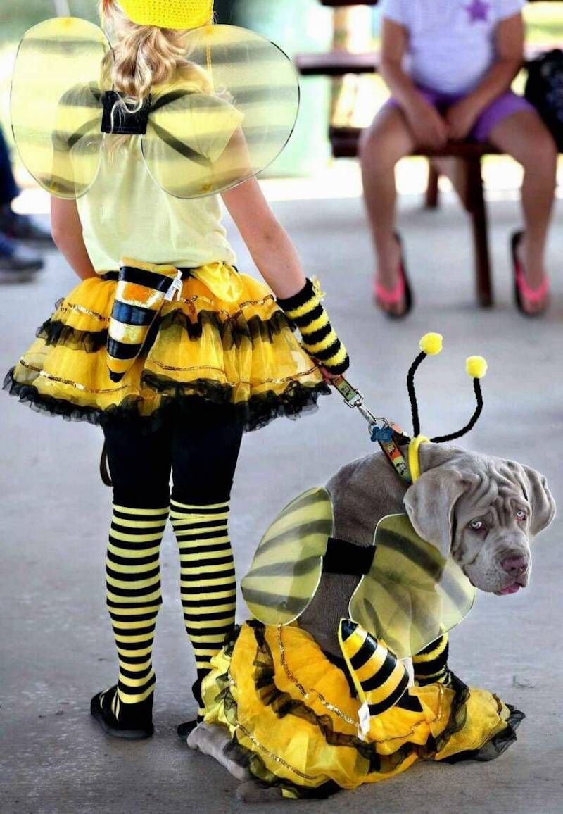 dog3.jpg
