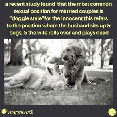 doggy.jpg