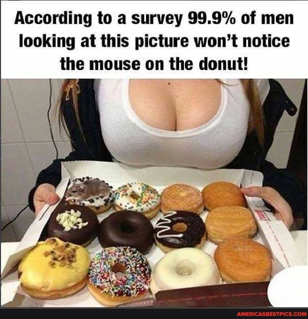 Donut.jpg
