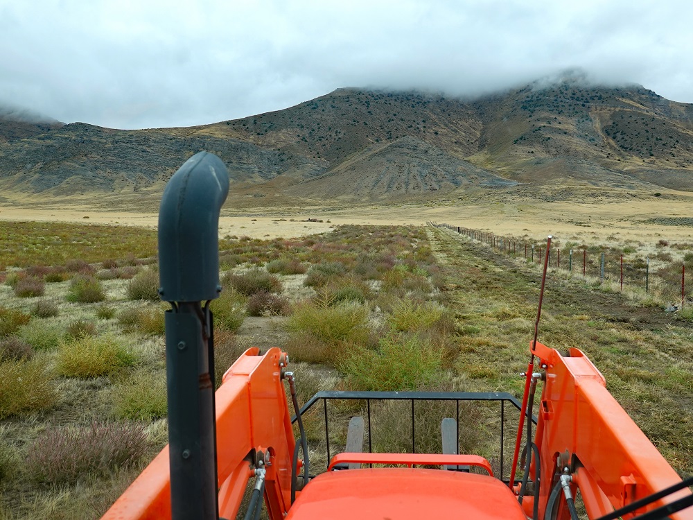 DSC06404erorgtractor10-12-23.jpg
