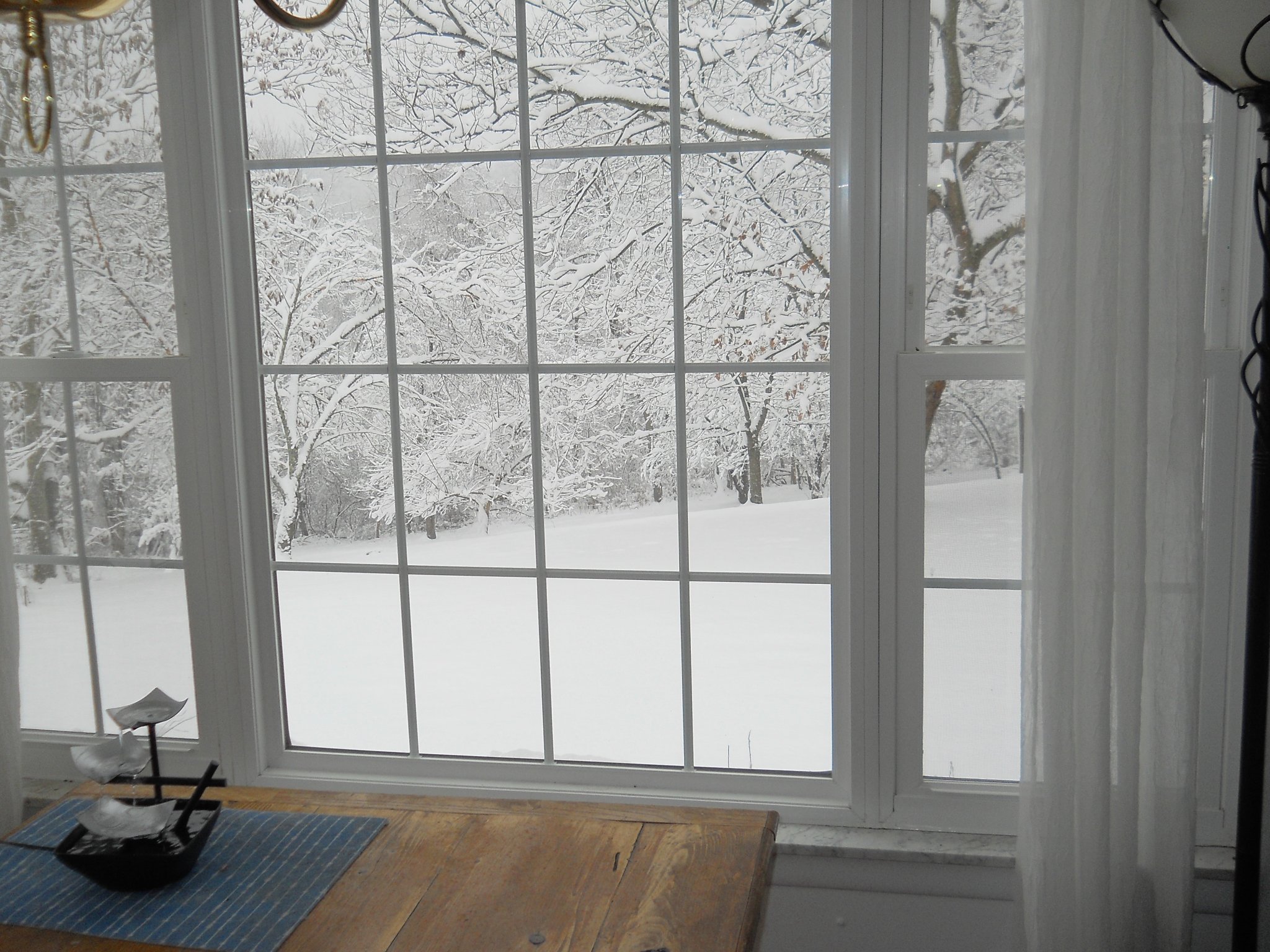 DSCN0188.JPG