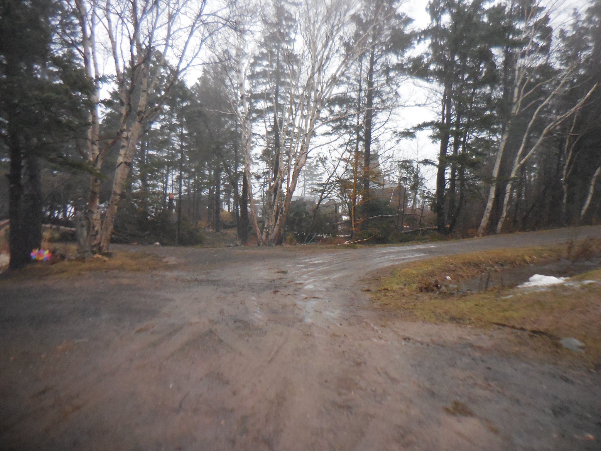 DSCN5514_01.JPG