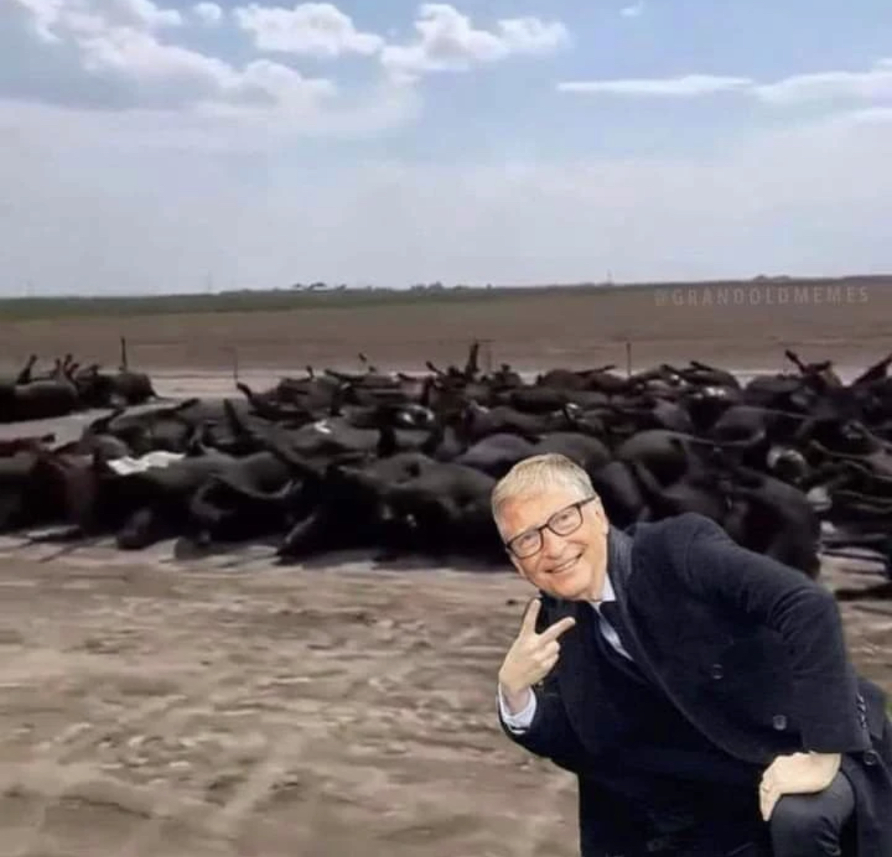 E58FCBFD-09E0-45CA-86D7-DB1AB7B1C9AD.jpeg