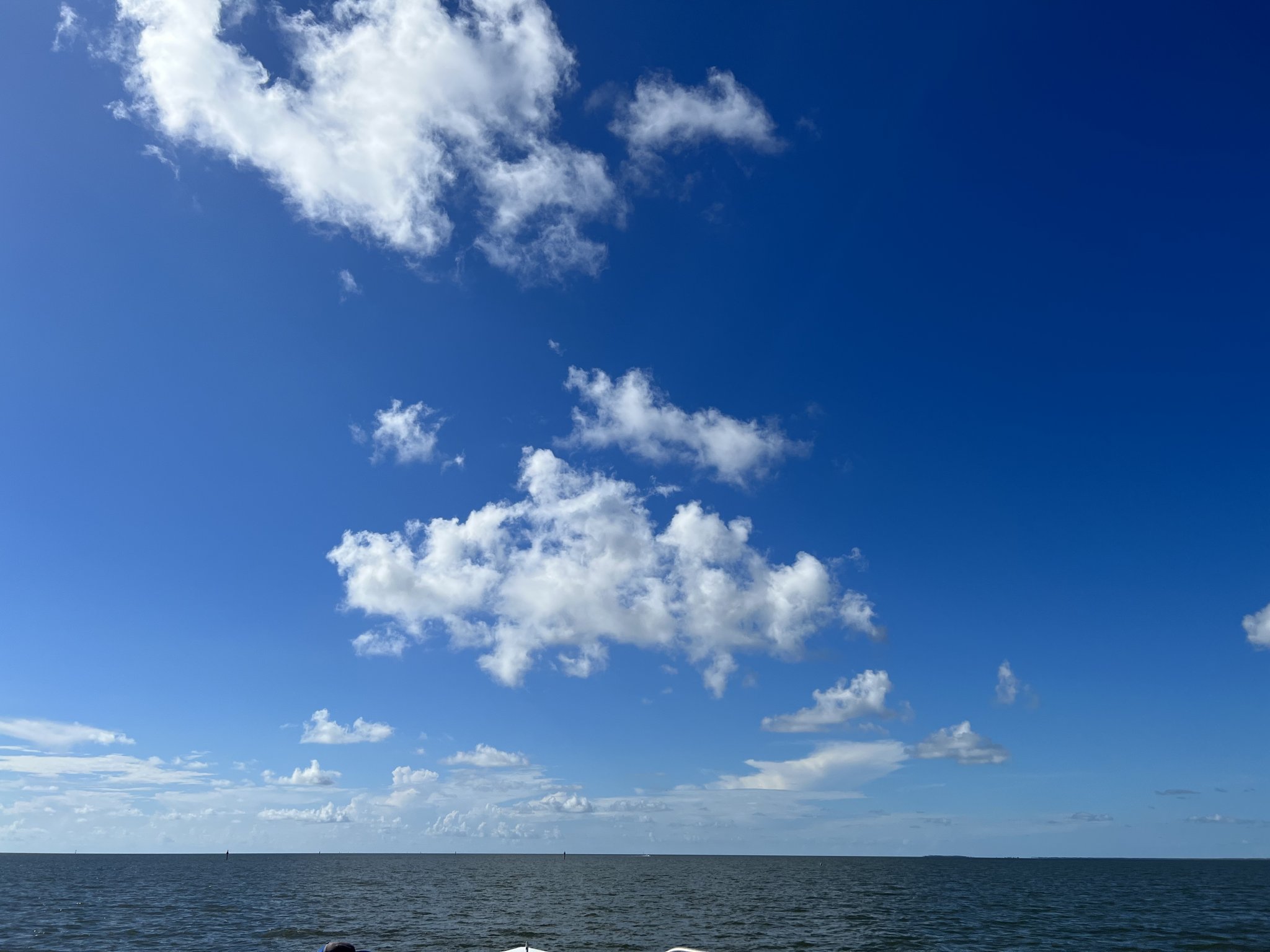 E6051CF4-143F-4EE4-ACAF-DBFE07359898.jpeg