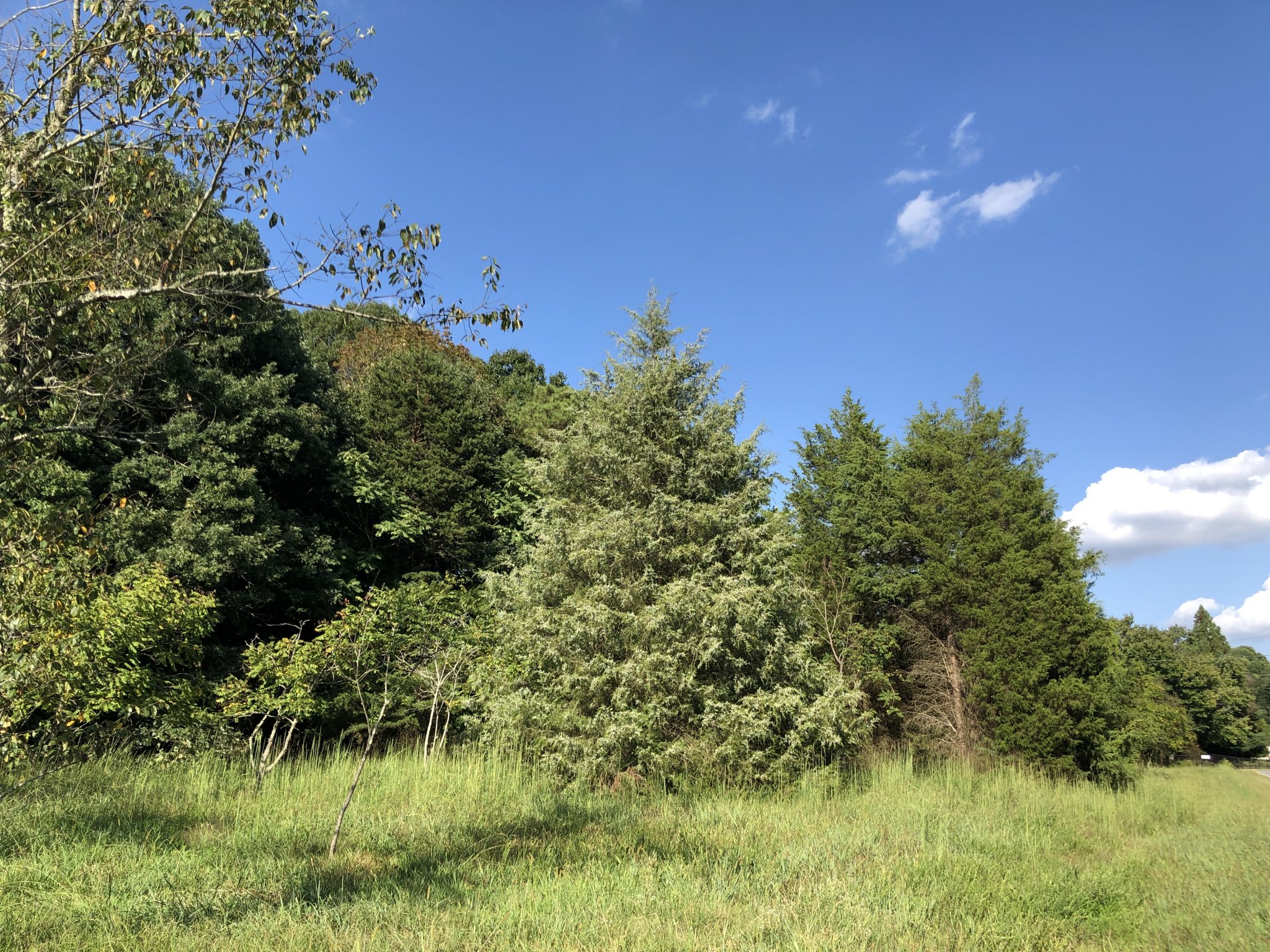 EAA5C0D8-A298-4D2C-A898-962320EB68FE.jpeg