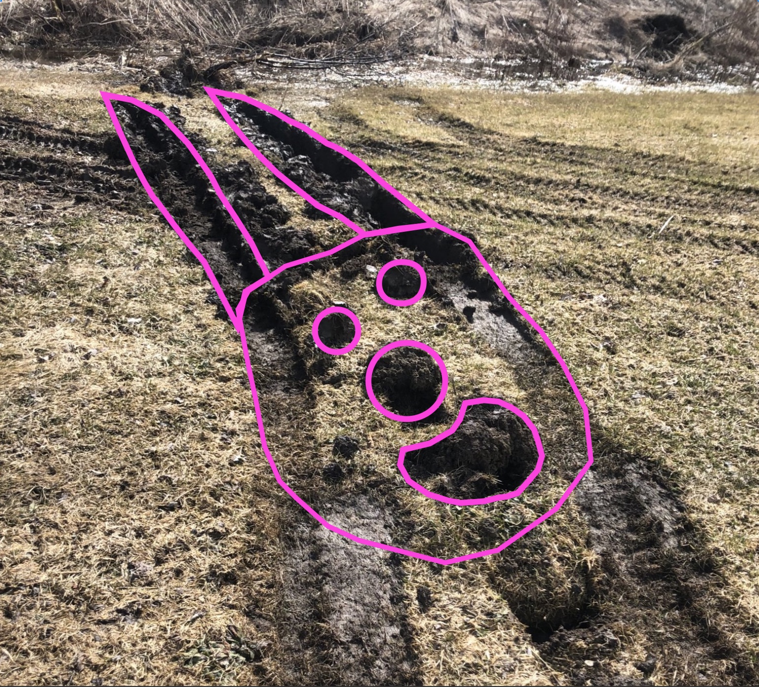 face2.jpg