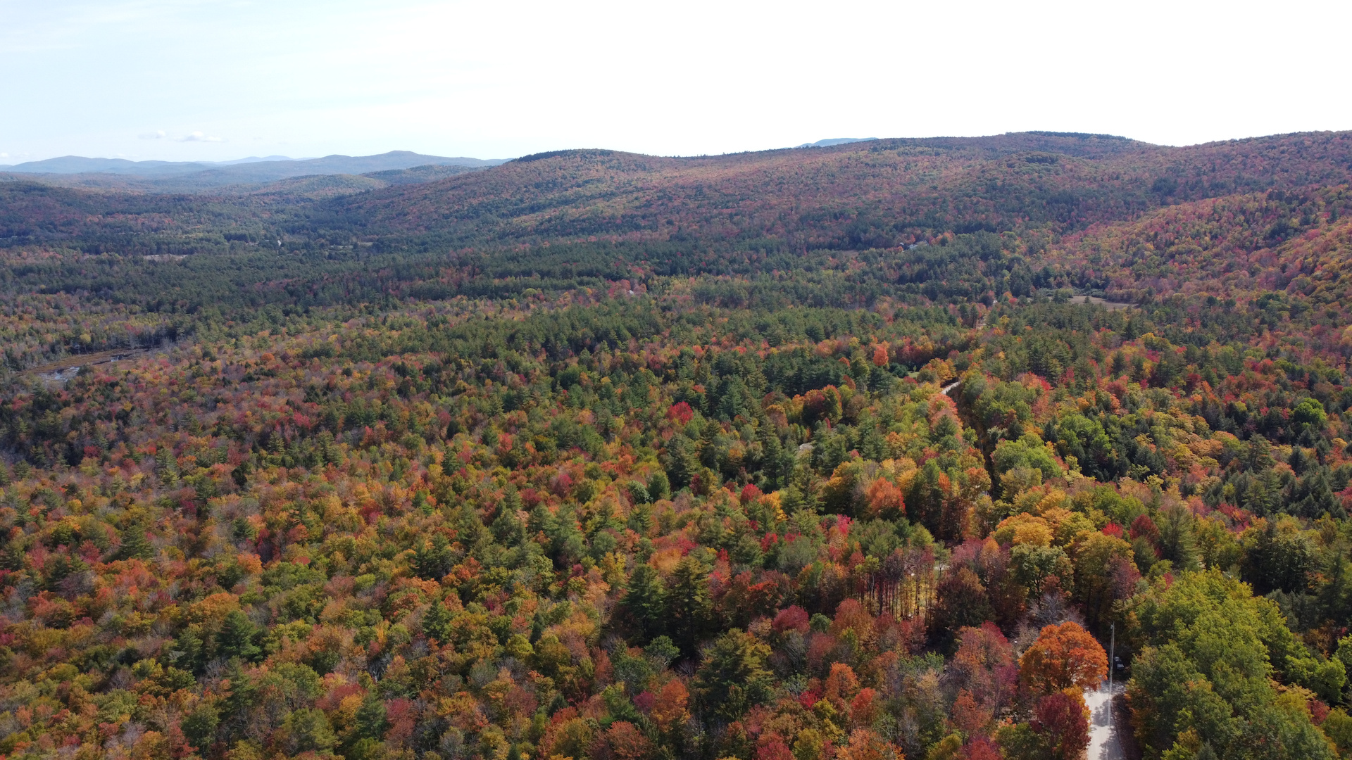 fall.jpg