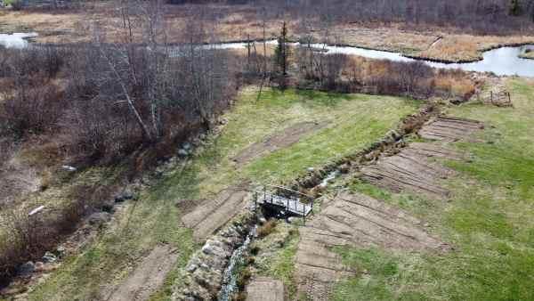 field.jpg