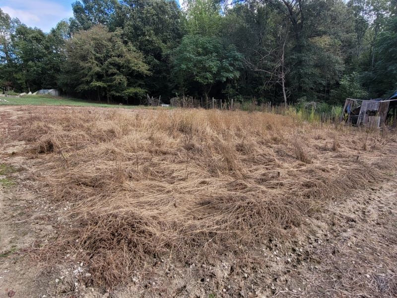field1.jpg