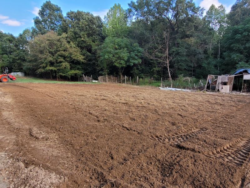field2.jpg