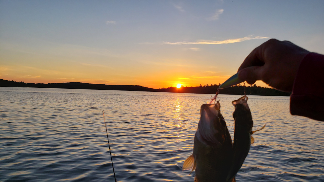 fish.jpg
