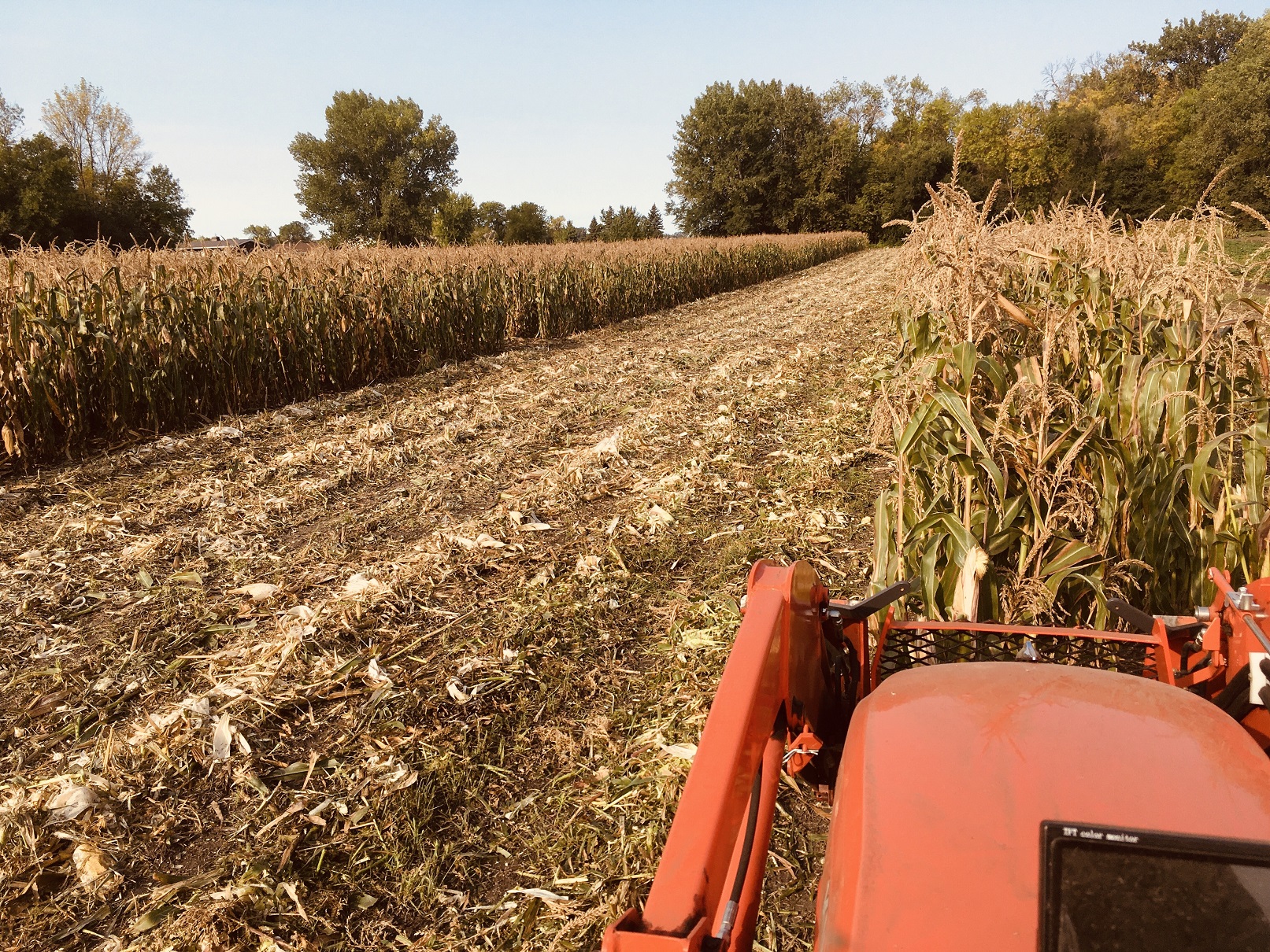 Flail Mower in Corn Patch.jpg