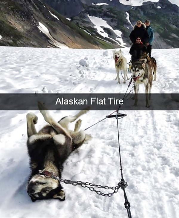 flat tire.jpg