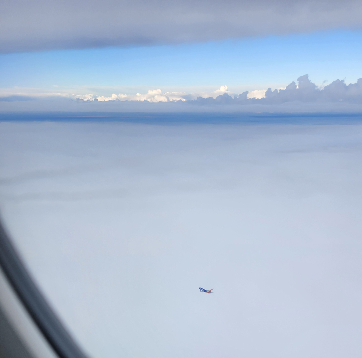 flight.jpg