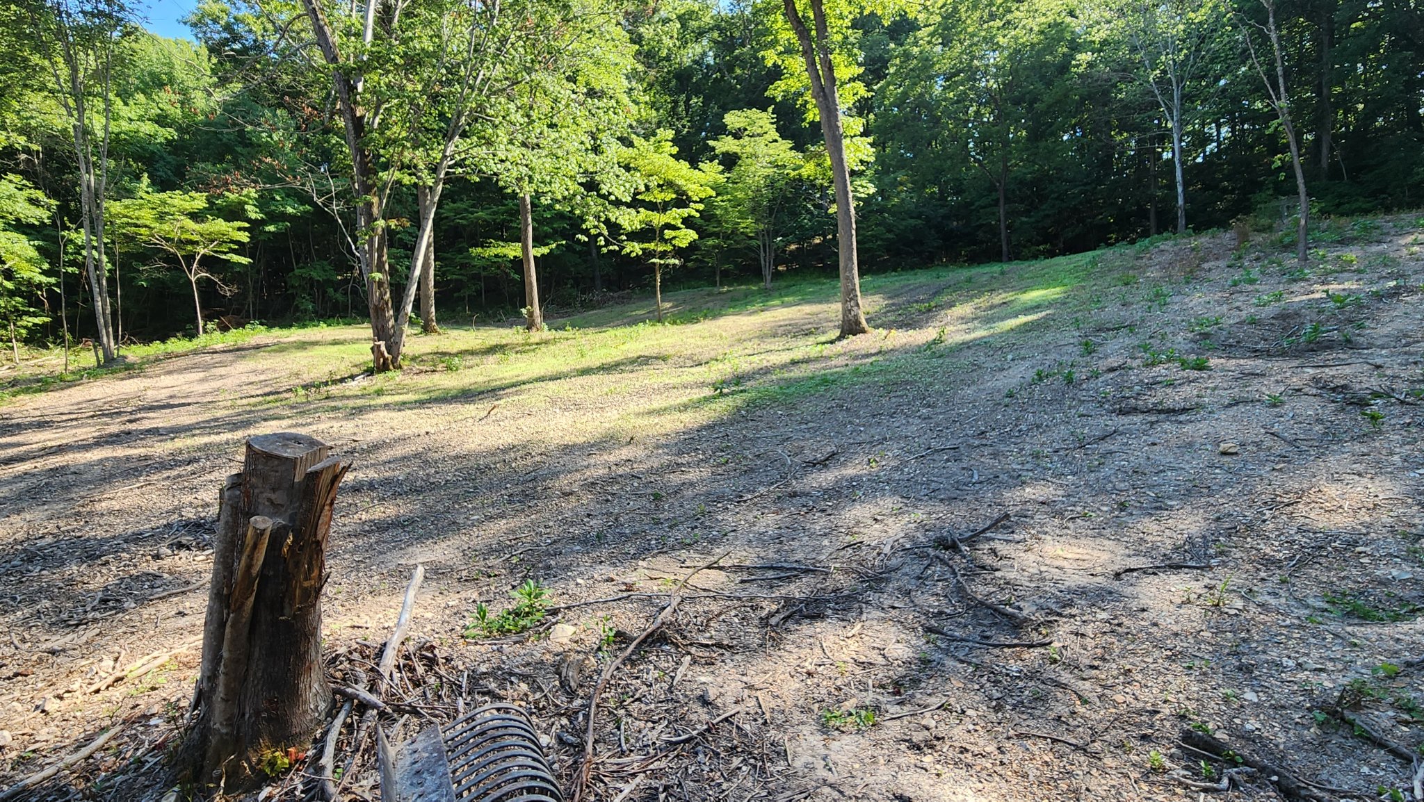 food plot 7.jpg