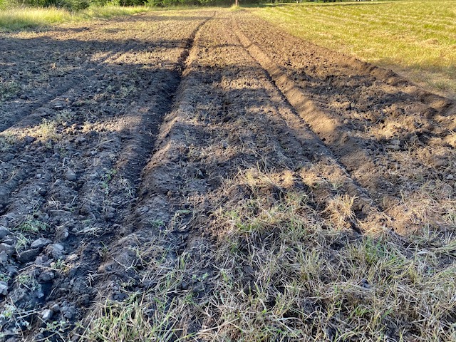 Furrows.jpg