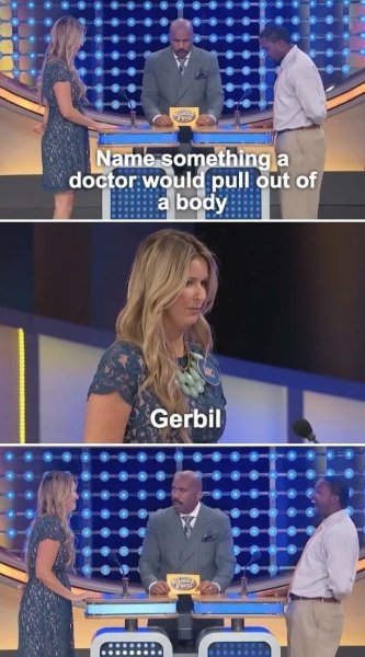 gerbil.jpg