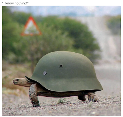 german turtle.png